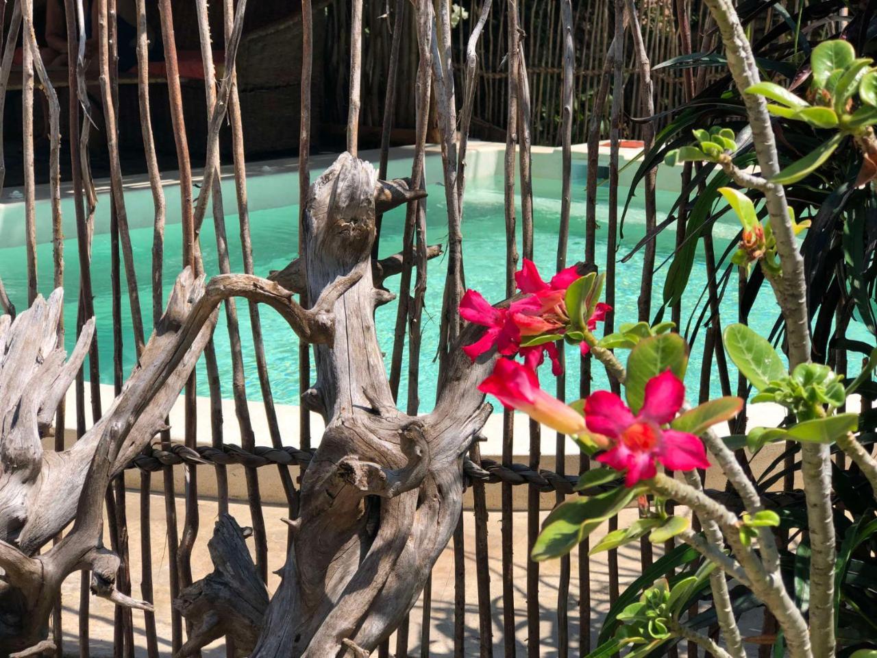 Zawadi Residence Watamu Buitenkant foto